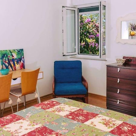 Apartman Ilonka Leilighet Novi Vinodolski Eksteriør bilde